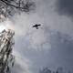 Plane overhead
